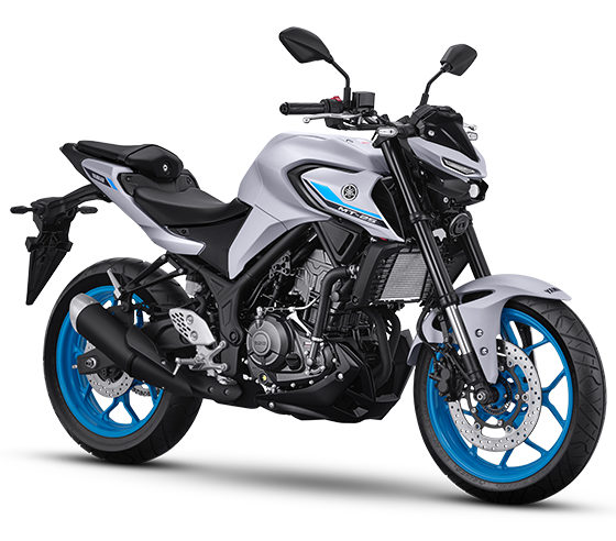 mt 25